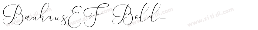BauhausEF Bold字体转换